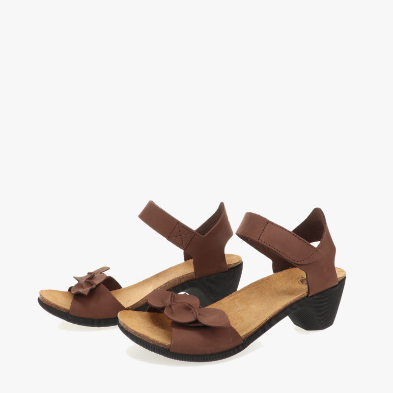 Kruisdorp - Black sole