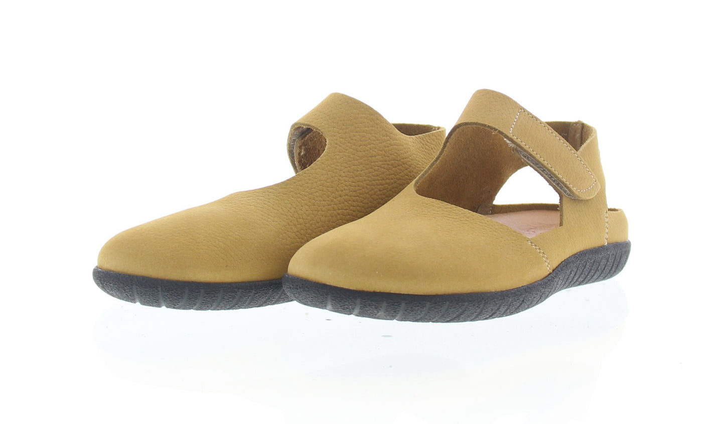 Biezelinge Black Sole