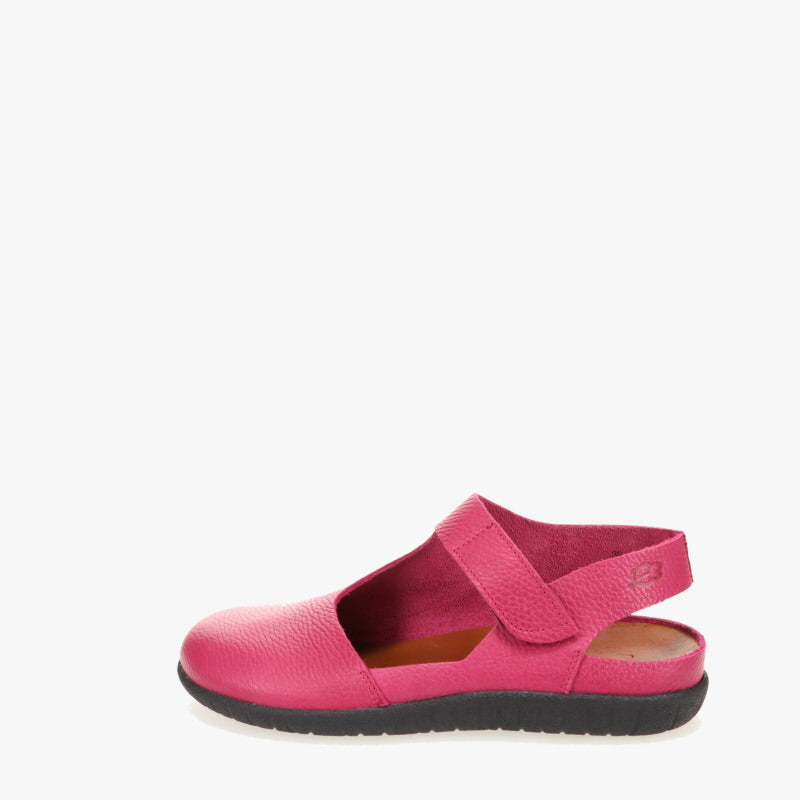 Biezelinge Black Sole