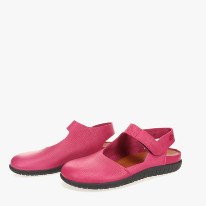 Biezelinge Black Sole