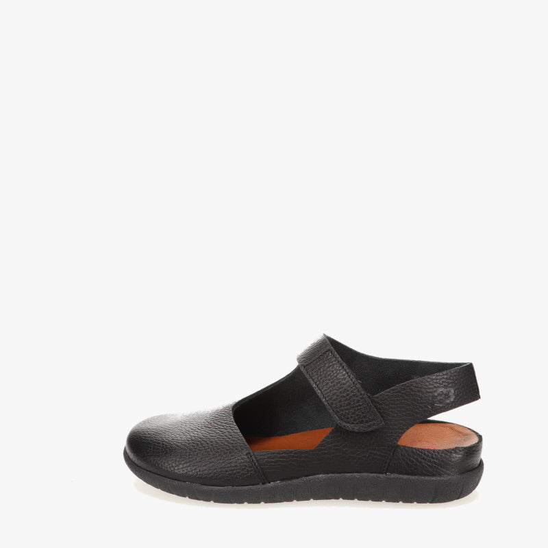 Biezelinge Black Sole