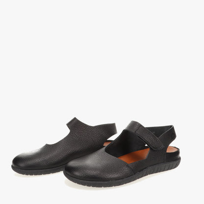 Biezelinge Black Sole